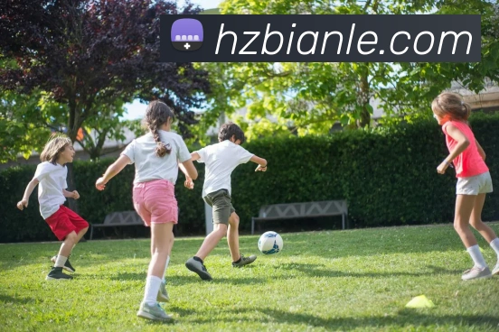 App Interface Preview