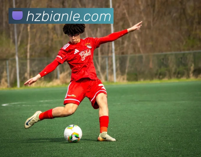 悟空体育APP 封面图